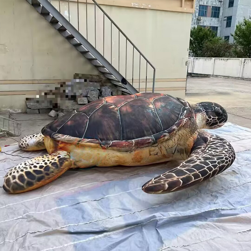 Opblaasbare zeeschildpadden, m - Aquarium Marine Shop recensie en prijs