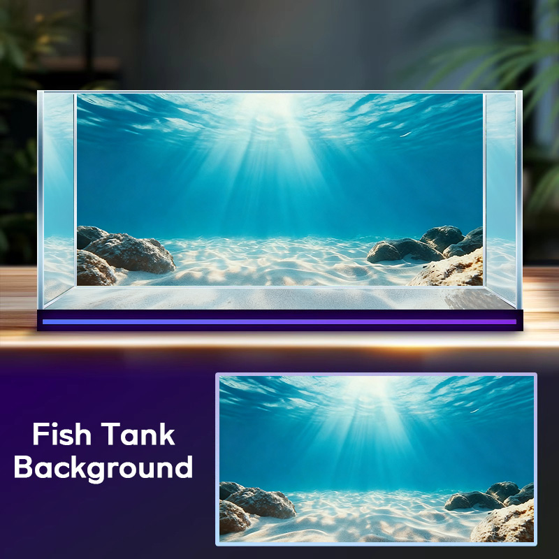 Blauwe zee, helder zand, achte - Marine Aquarium Glue recensie en prijs