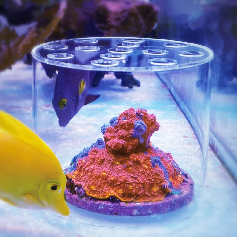 Vastocean Aquarium Acryl Koraa - Marine Aquarium Glue recensie en prijs
