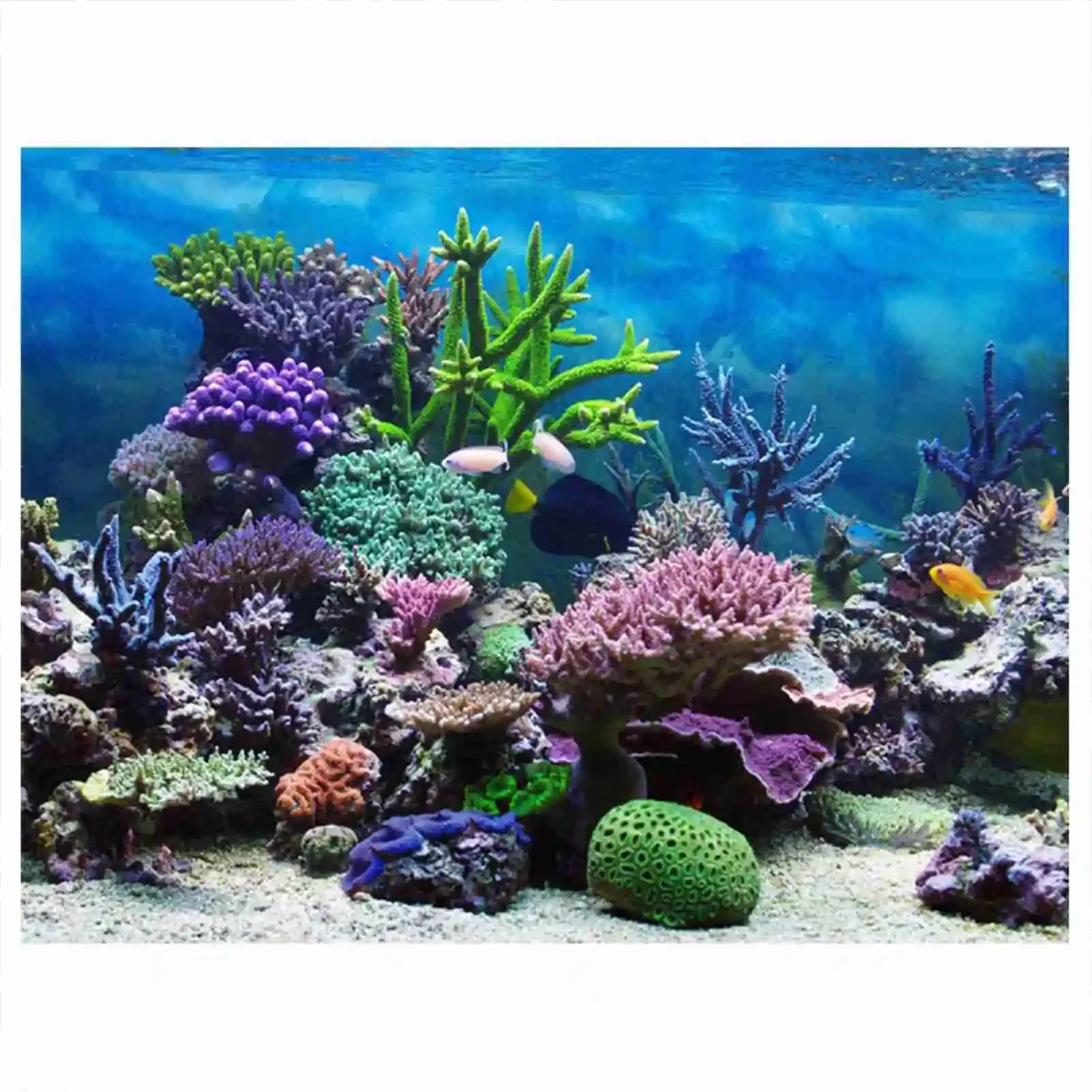 3d Aquarium Landschap Poster R - Marine Aquarium Glue recensie en prijs