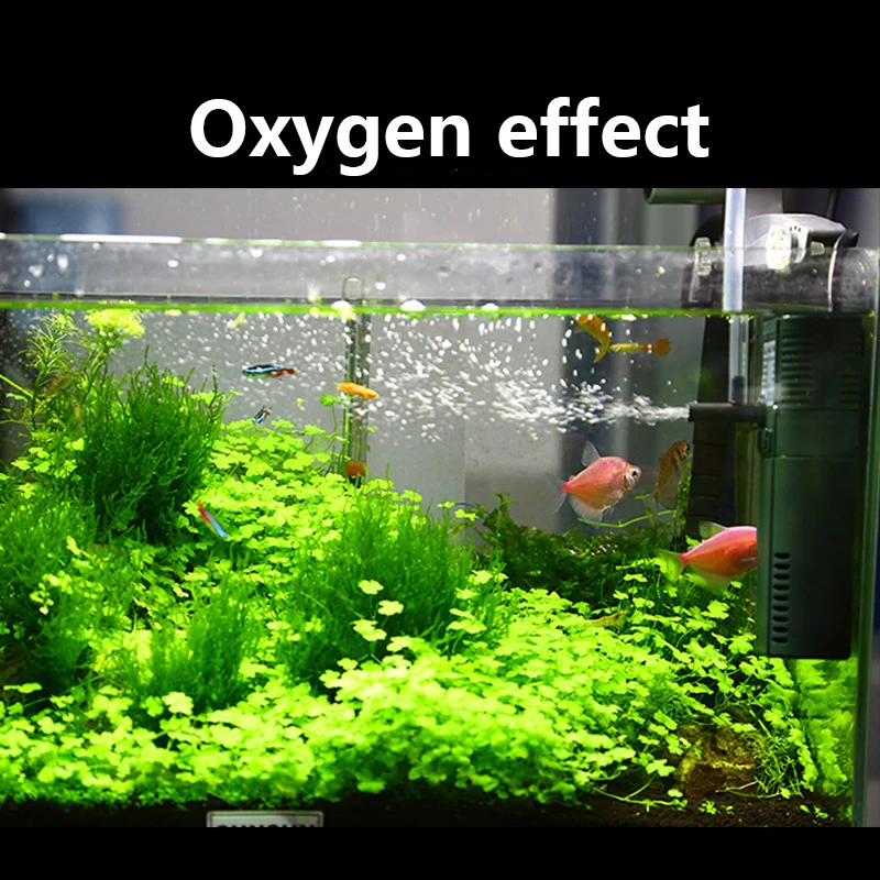 Sunsun Mini Nano 111b 311b 611 - Aquarium Blue Marine Reef 60 recensie en prijs